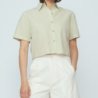 Striped Cropped Shirt - SS26 - Mustard Stripes